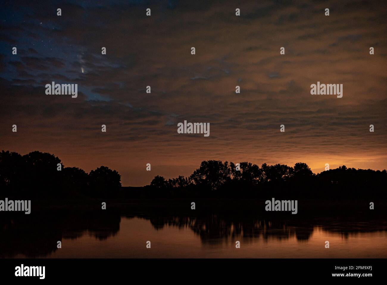 Cometa Neoswise nel cielo notturno Foto Stock