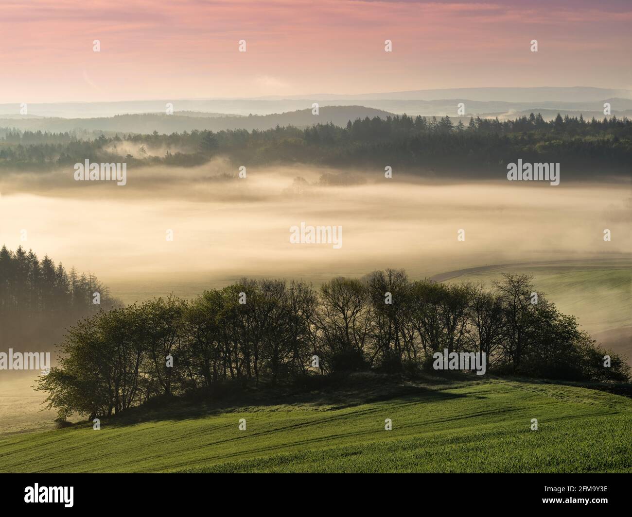 Europa, Germania, Assia, Parco Naturale di Lahn-Dill-Bergland, Gladenbach, Umore mattutino con nebbia a valle sopra la Salzbödetal superiore vicino a Weidenhausen Foto Stock