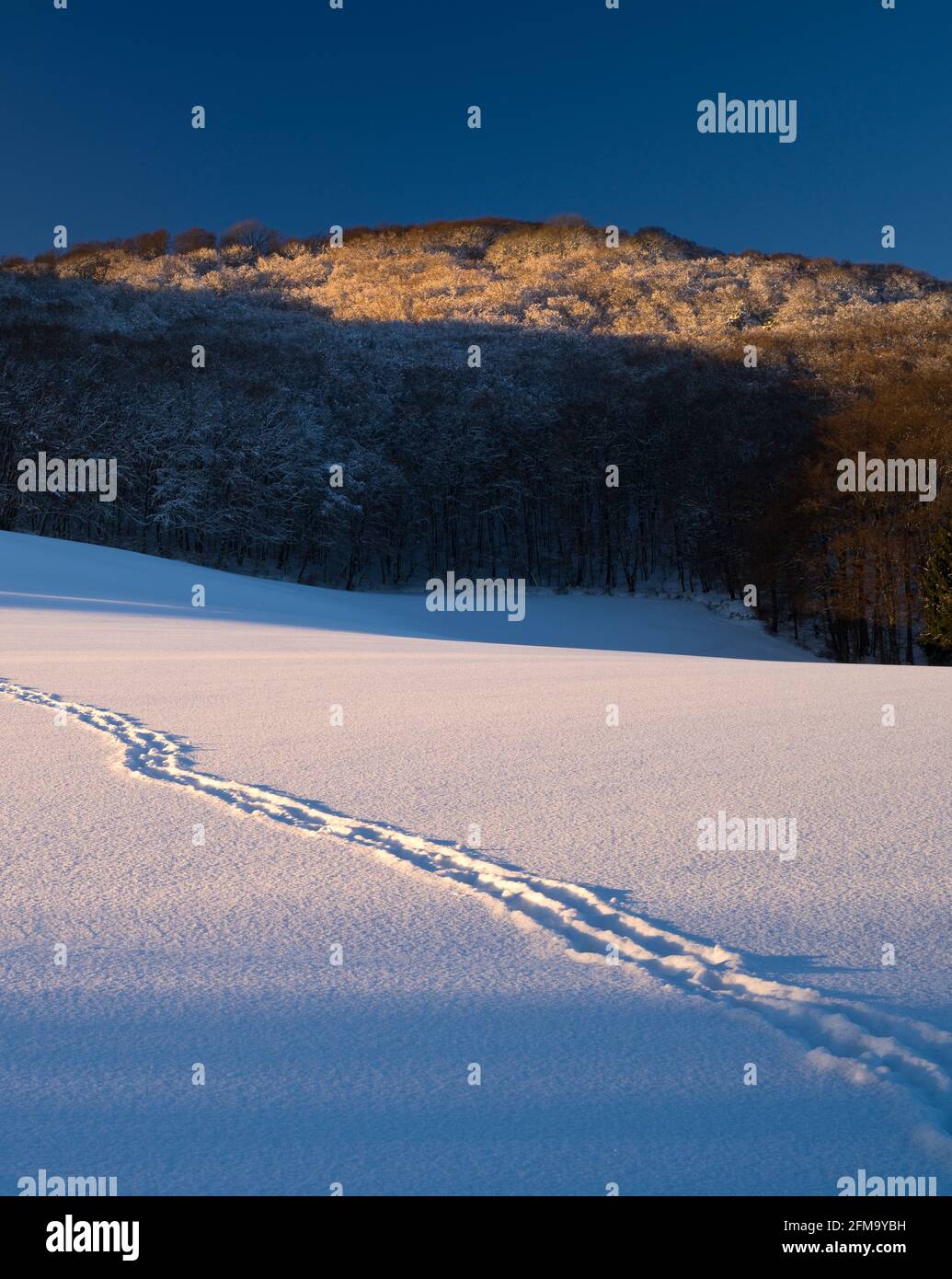 Europa, Germania, Assia, Parco Naturale di Lahn-Dill-Bergland, Gladenbach, Paesaggio invernale sulla vetta del Daubhaus vicino a Runzhausen Foto Stock