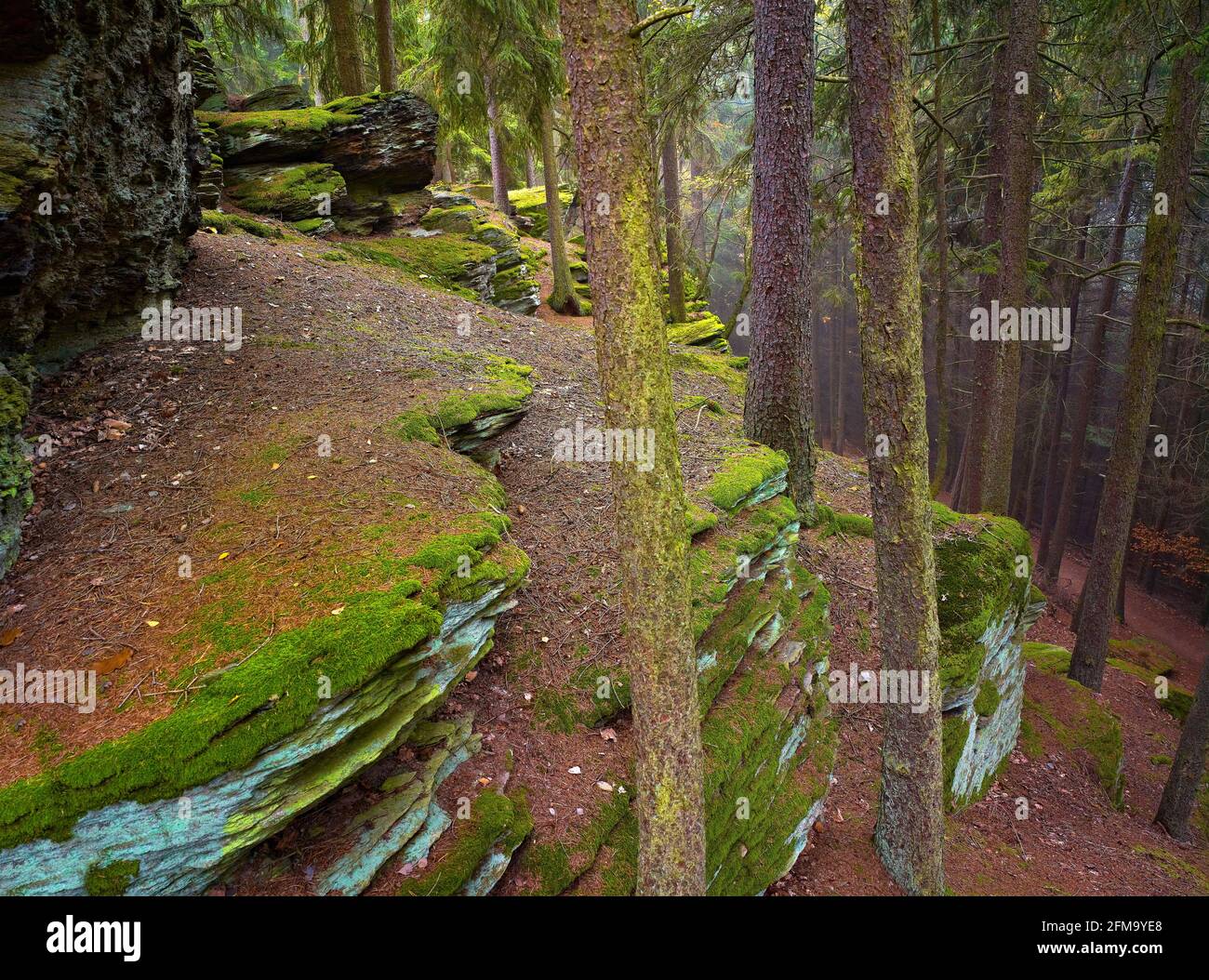 Europa, Germania, Assia, Parco Naturale di Lahn-Dill-Bergland, Gladenbach, Scogliere di ardesia sul boschetto, 'Hinterland Svizzera', autunno Foto Stock