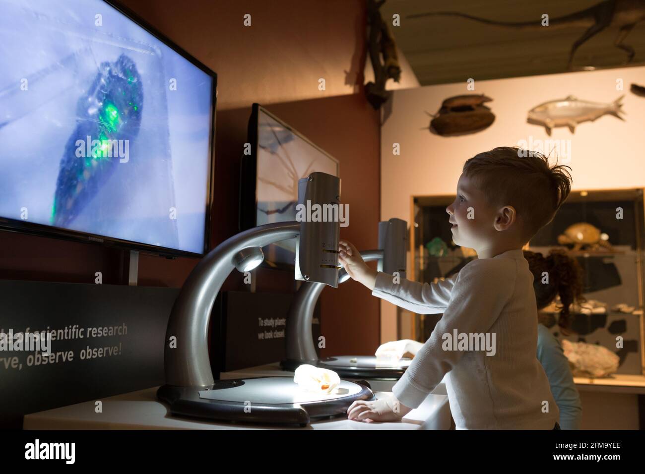 Un ragazzo si siede in un museo a portata di mano stazione di apprendimento Foto Stock