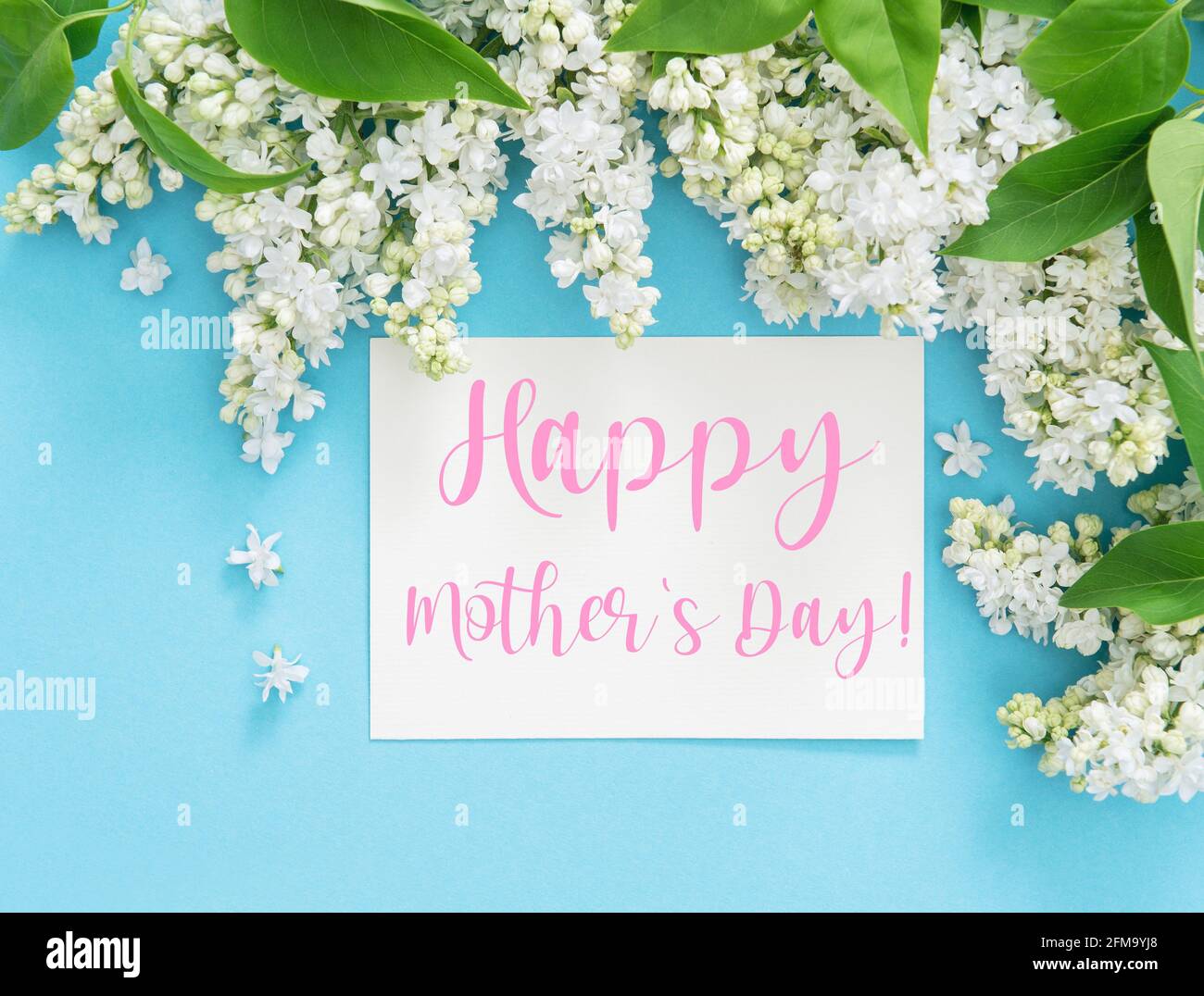 UK Greetings Kindred – Biglietto Floreale Per La Festa Della Mamma Con Busta - 6