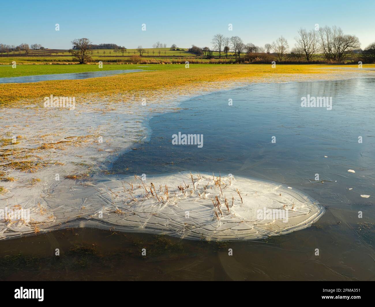 Europa, Germania, Assia, Assia centrale, distretto di Marburg-Biedenkopf, Bacino di Amöneburg, prati allagati nella zona di ritenzione, superficie ghiacciata Foto Stock