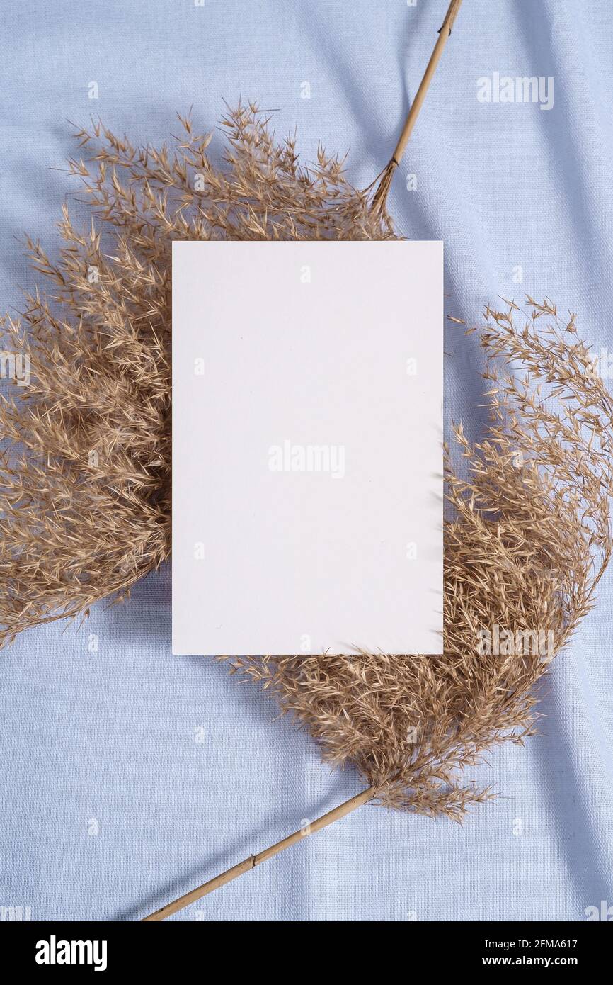 Carta bianca bianca mockup di carte con pampas erba secca su tessuto di colore blu neutro Foto Stock