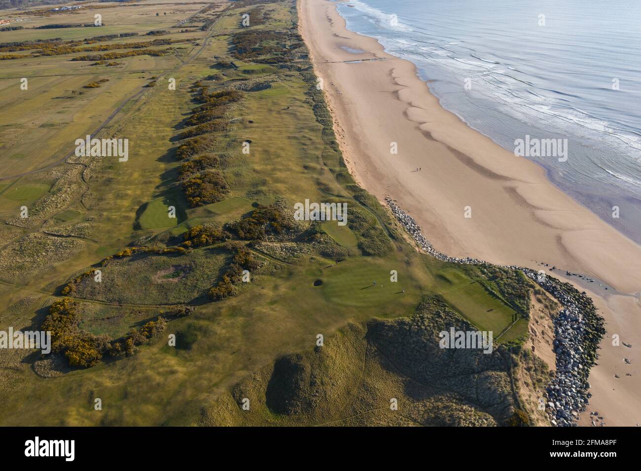 Vista aerea dell'erosione costiera che colpisce il campo da golf 1562, Montrose, Angus, Scozia. Foto Stock
