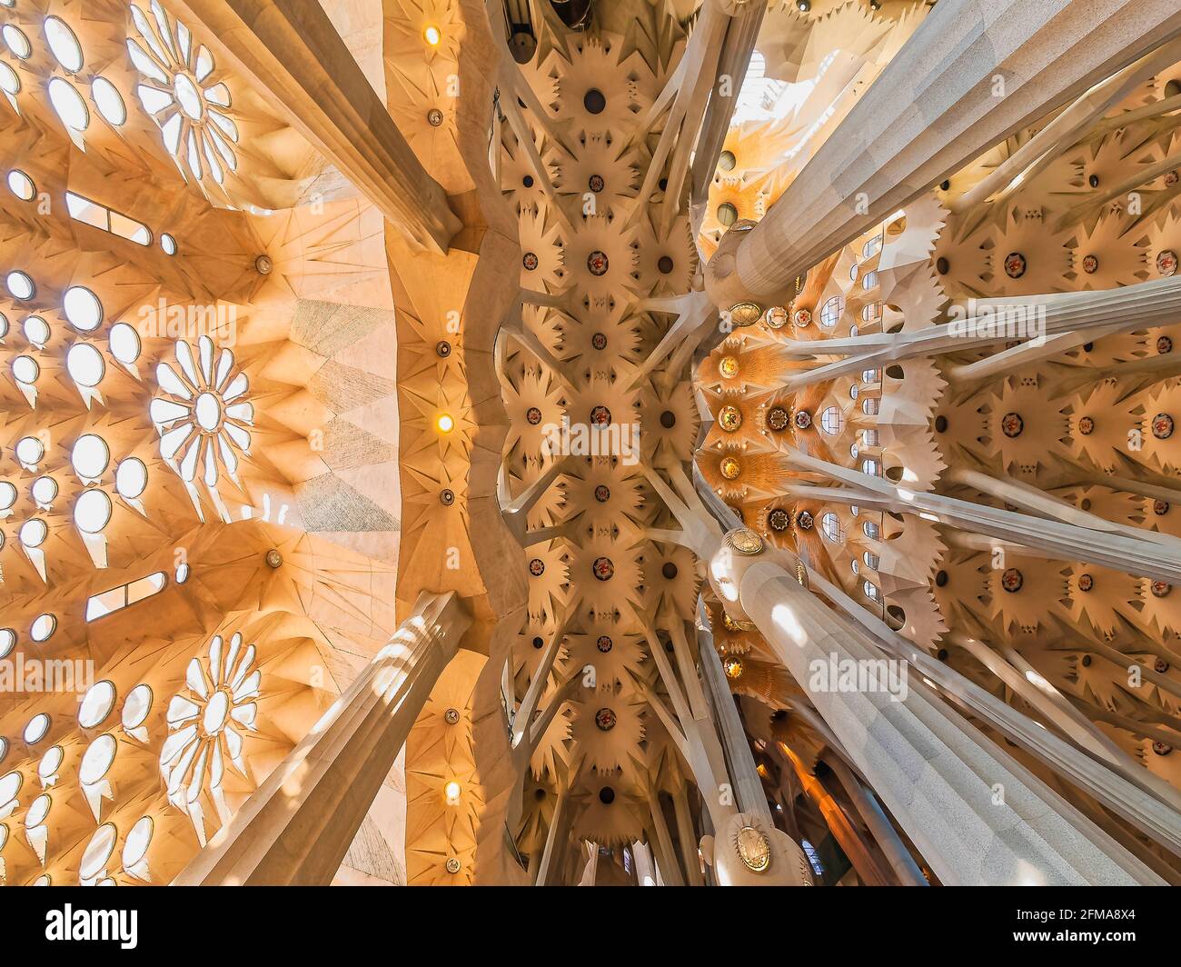 Particolare del soffitto. Basilica della Sagrada Familia. Barcellona. Spagna. La Basilica e la Chiesa Epiatoria della Sacra Famiglia è una grande chiesa cattolica romana di Barcellona, progettata dall'architetto catalano spagnolo Antoni Gaudí (1852–1926). Foto Stock