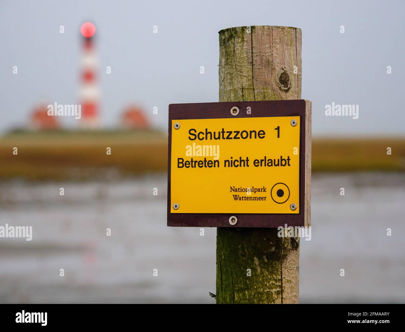 Saline, faro di Westerheversand, Parco Nazionale del Mare di Wadden, Patrimonio dell'Umanità dell'UNESCO, Schleswig-Holstein, Germania Foto Stock