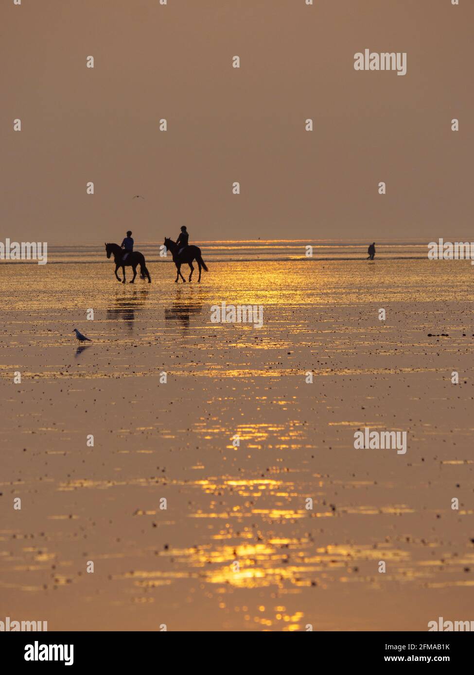 Wadden Mare vicino a Cuxhaven, Wadden Sea National Park, cavalli, cavalieri, patrimonio dell'umanità dell'UNESCO, bassa Sassonia, Germania Foto Stock