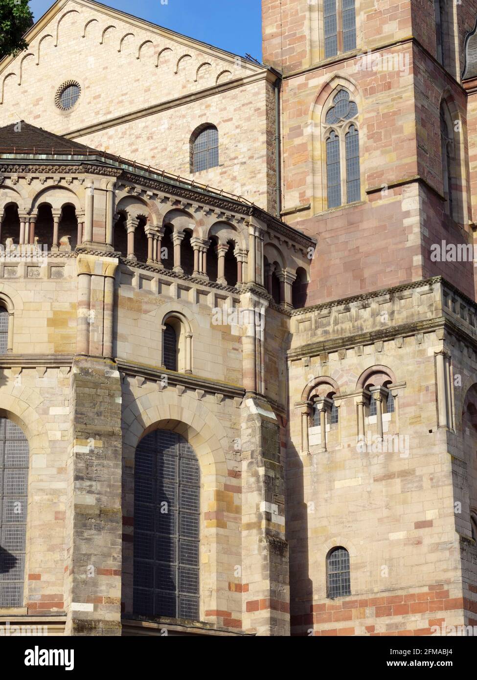 Cattedrale, Treviri, Patrimonio Mondiale dell'UNESCO, Renania-Palatinato, Germania Foto Stock