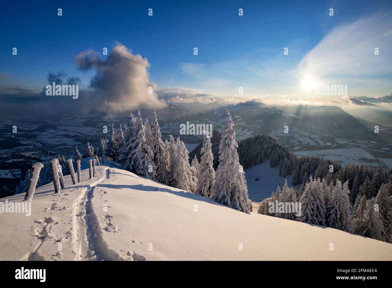 Pista da sci in un paesaggio invernale innevato in un soleggiato tardo pomeriggio sulla Grünten. Allgäu Alpi, Baviera, Germania, Europa Foto Stock