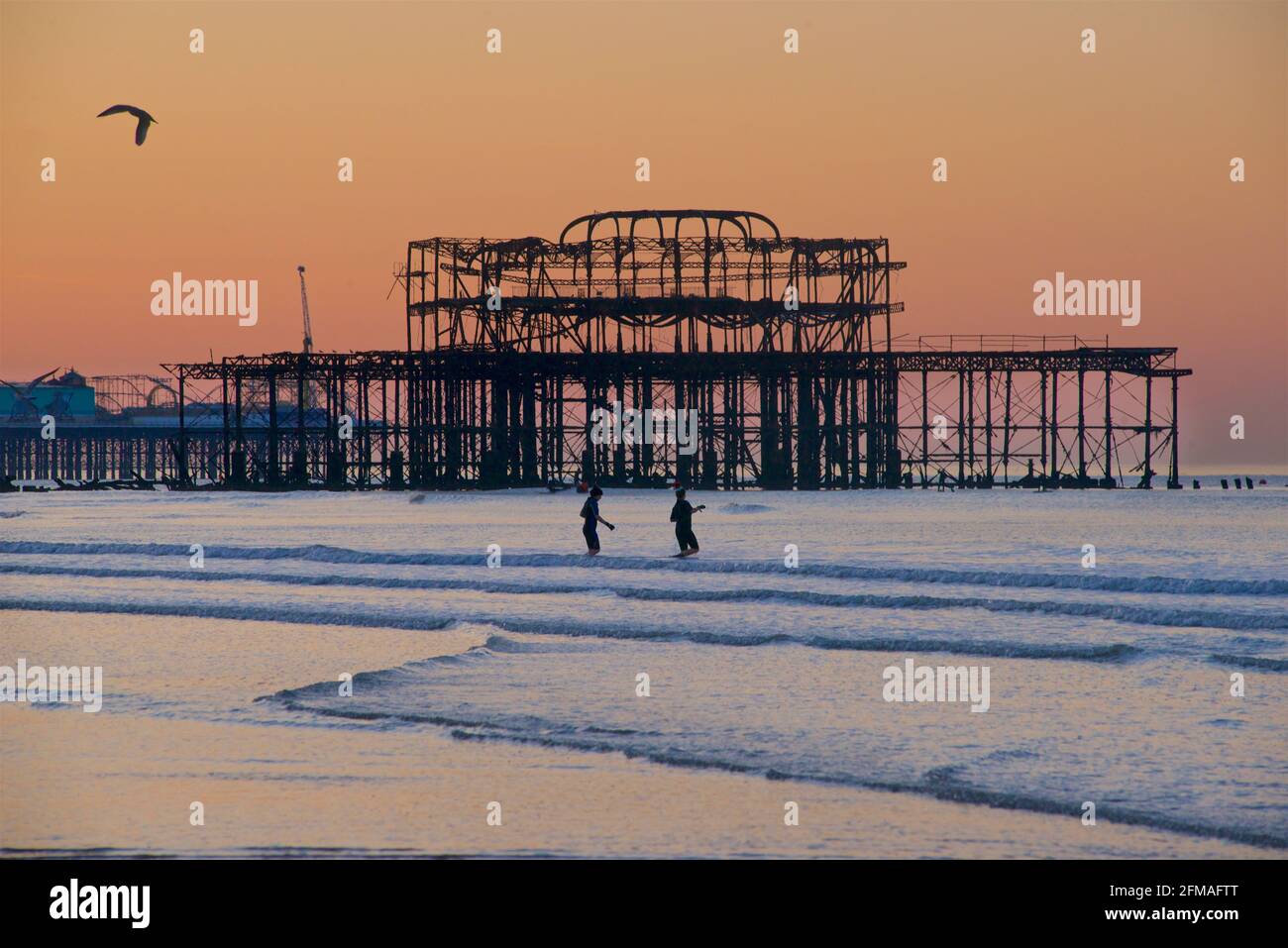 In partenza per un tuffo di moning presto. I nuotatori si dirigono verso il canale inglese di Brighton, con le sagome dei moli sullo sfondo. Brighton & Hove, Sussex, Inghilterra, Regno Unito Foto Stock