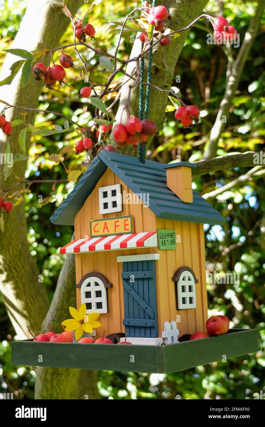 Casa degli uccelli colorata in legno in un aspetto da caffetteria Foto Stock