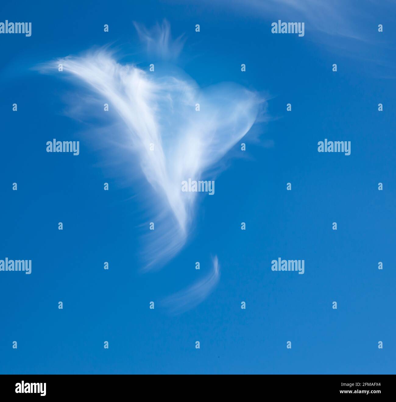 Nube angelo in cielo blu Foto Stock