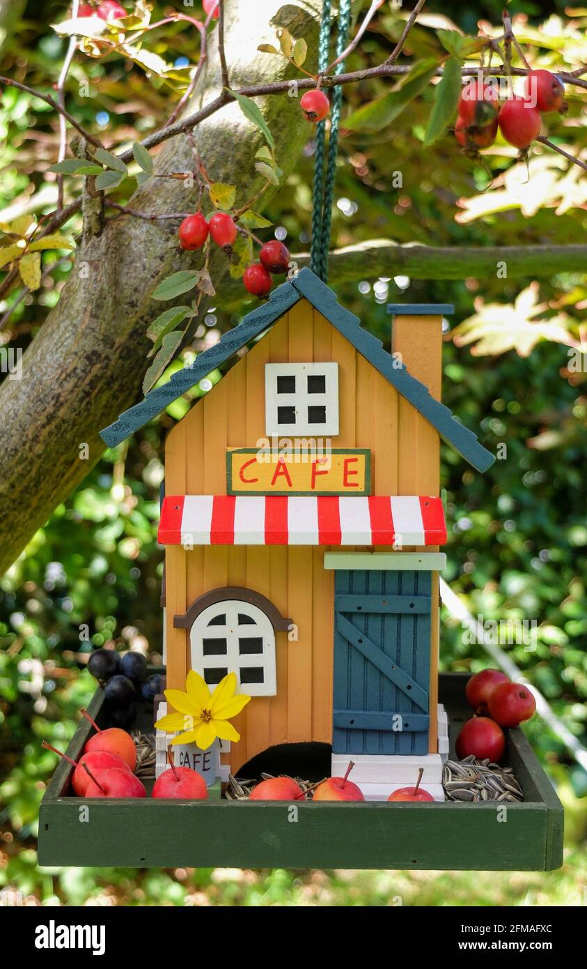 Casa degli uccelli colorata in legno in un aspetto da caffetteria Foto Stock