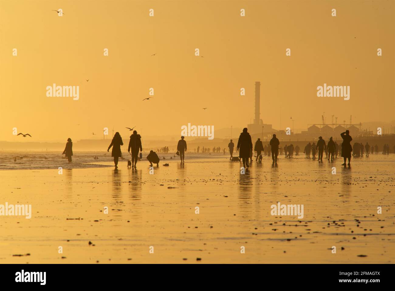 Brighton e la spiaggia di Hove con bassa marea che guarda ad ovest verso Shoreham. Sagome di persone che camminano lungo la spiaggia sabbiosa al tramonto. East Sussex, Inghilterra Foto Stock