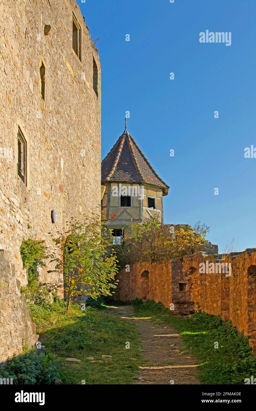 Castello di Hornberg, Innerer Zwinger, torre d'angolo, la fondazione del castello probabilmente nel 11 ° secolo al più tardi, proprietario tra cui conti von Lauffen, Lords von Dürn, Götz von Berlichingen, Neckarzimmern, Baden-Württemberg, Germania Foto Stock