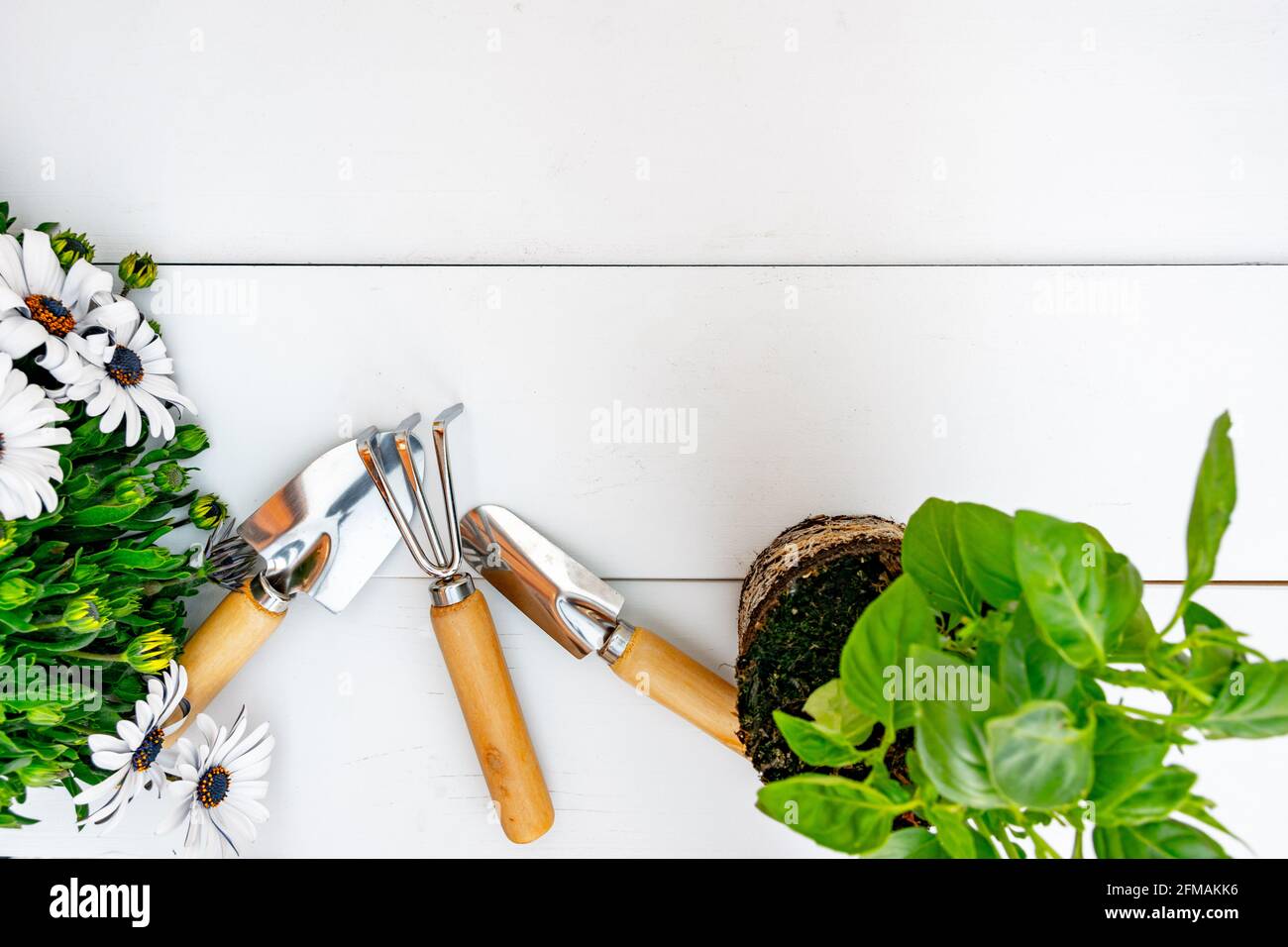 Attrezzi di giardinaggio e piante su background.Spring bianco giardino opere concetto. Vista dall'alto Foto Stock