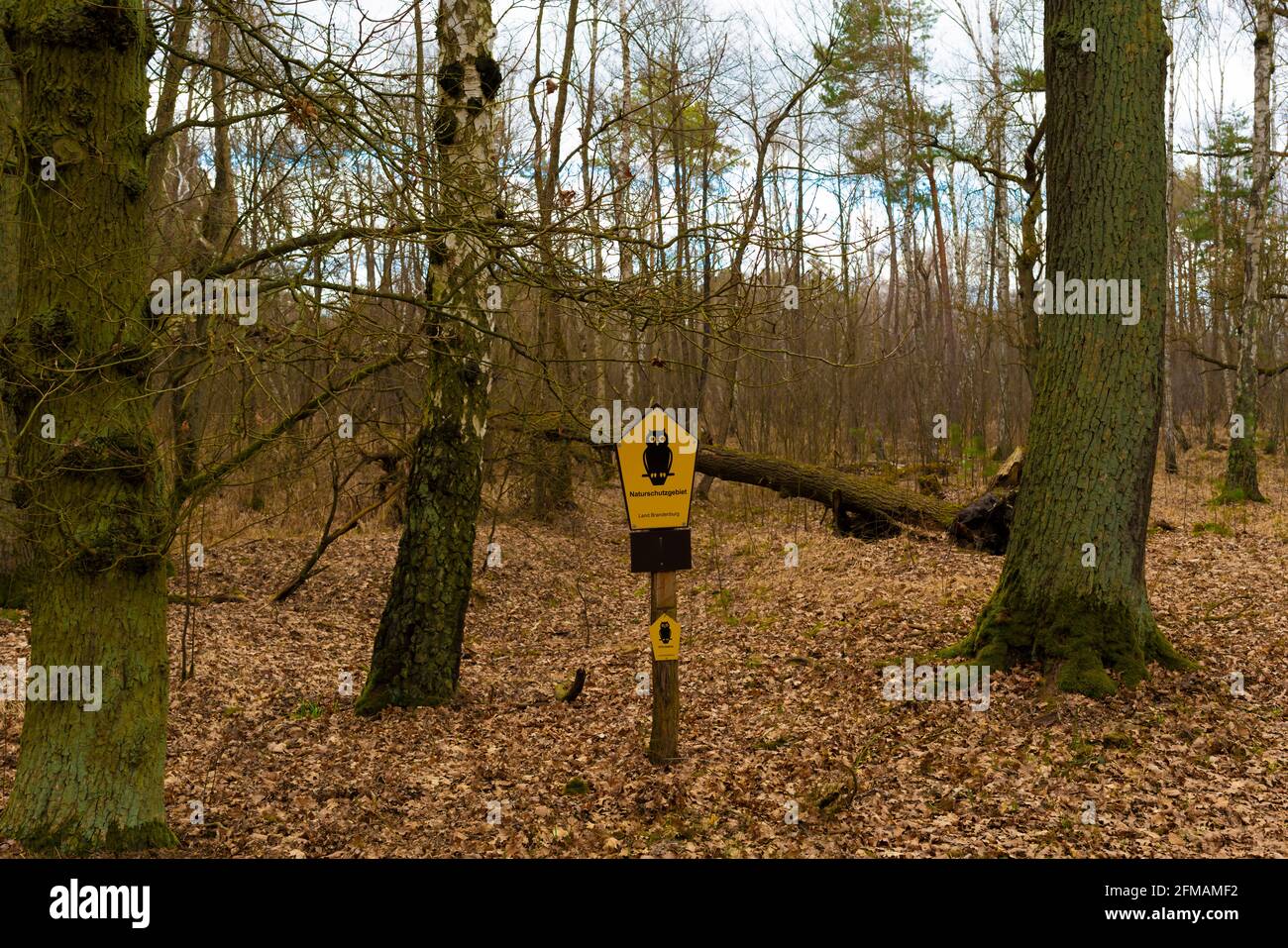 Foresta mista in primavera con cartello di avvertimento con iscrizione, FFH area Land Brandenburg Foto Stock