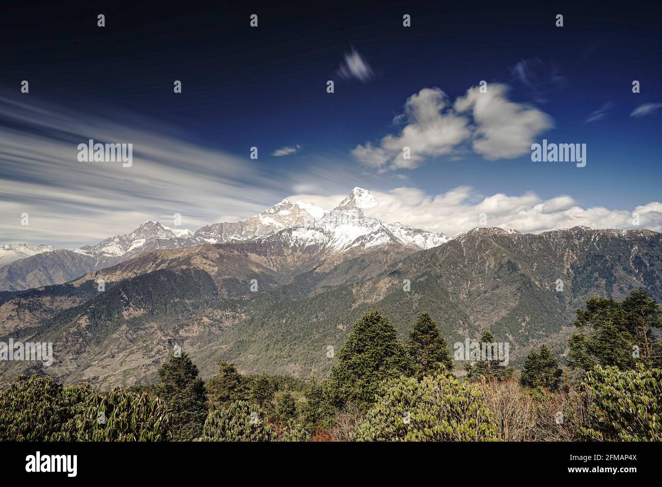 Vista del Nilgiri Sud 6839m, l'Annapurna i alta 80910m e l'Annapurna Sud alta 7219m (da sinistra), Poon Hill, Myagdi District, Nepal Foto Stock