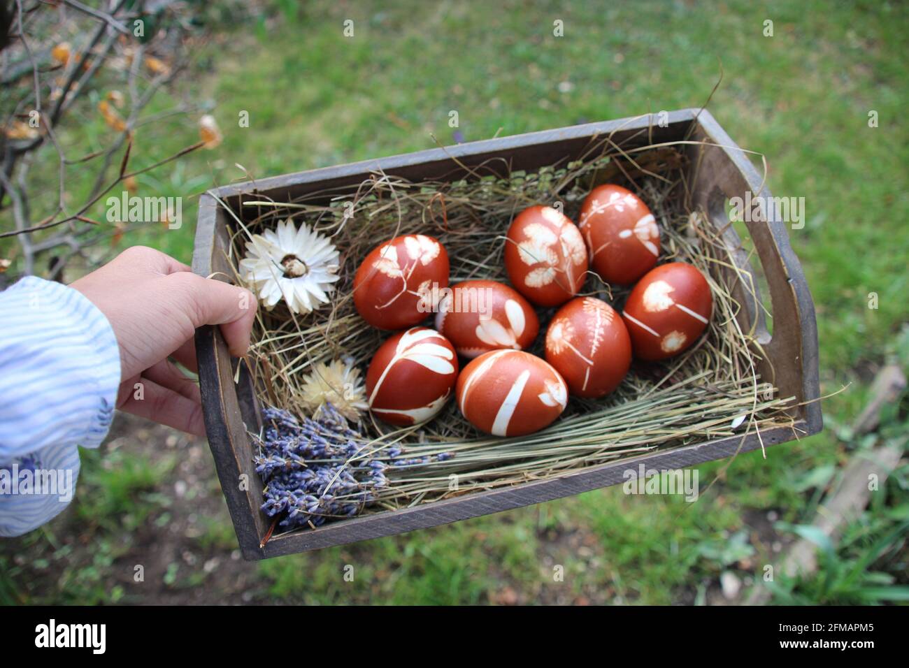 Porta a mano cesto pasquale con uova di Pasqua di colore naturale in un cesto con fieno, all'aperto, prato, giardino Foto Stock