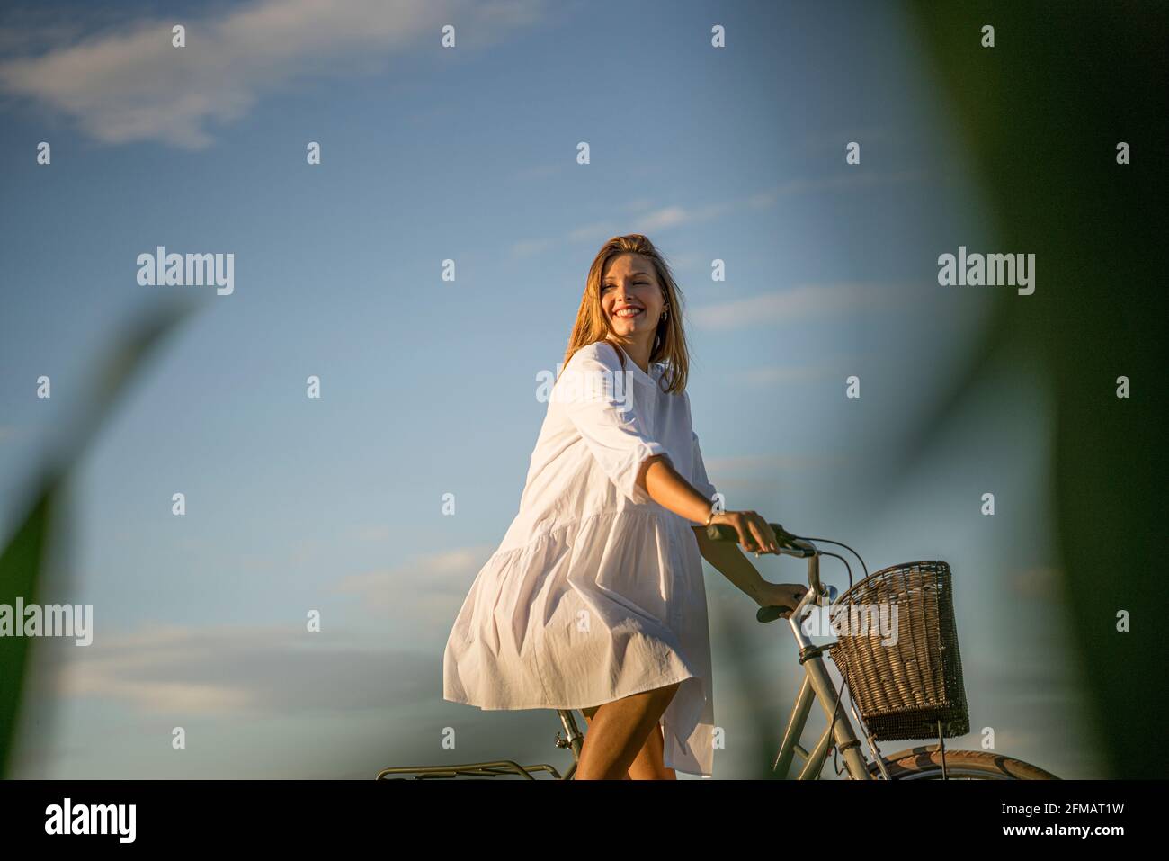 La giovane donna guida una bicicletta con un cesto nell'umore serale, Franconia, Baviera, Germania Foto Stock