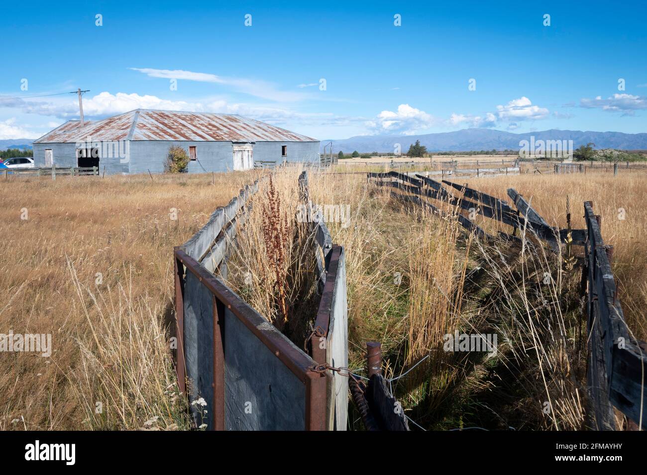 Rhoboro, vicino a Pukaki, McKenzie Country, Canterbury Sud, Isola Sud, Nuova Zelanda Foto Stock