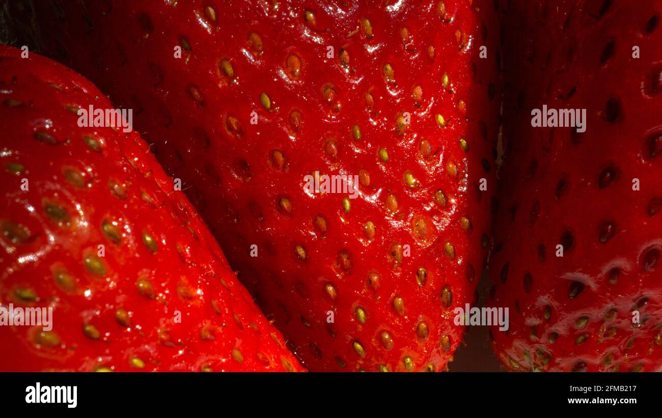 Estremo primo piano di tre rossi maturi appena lavati organici fragole Foto Stock