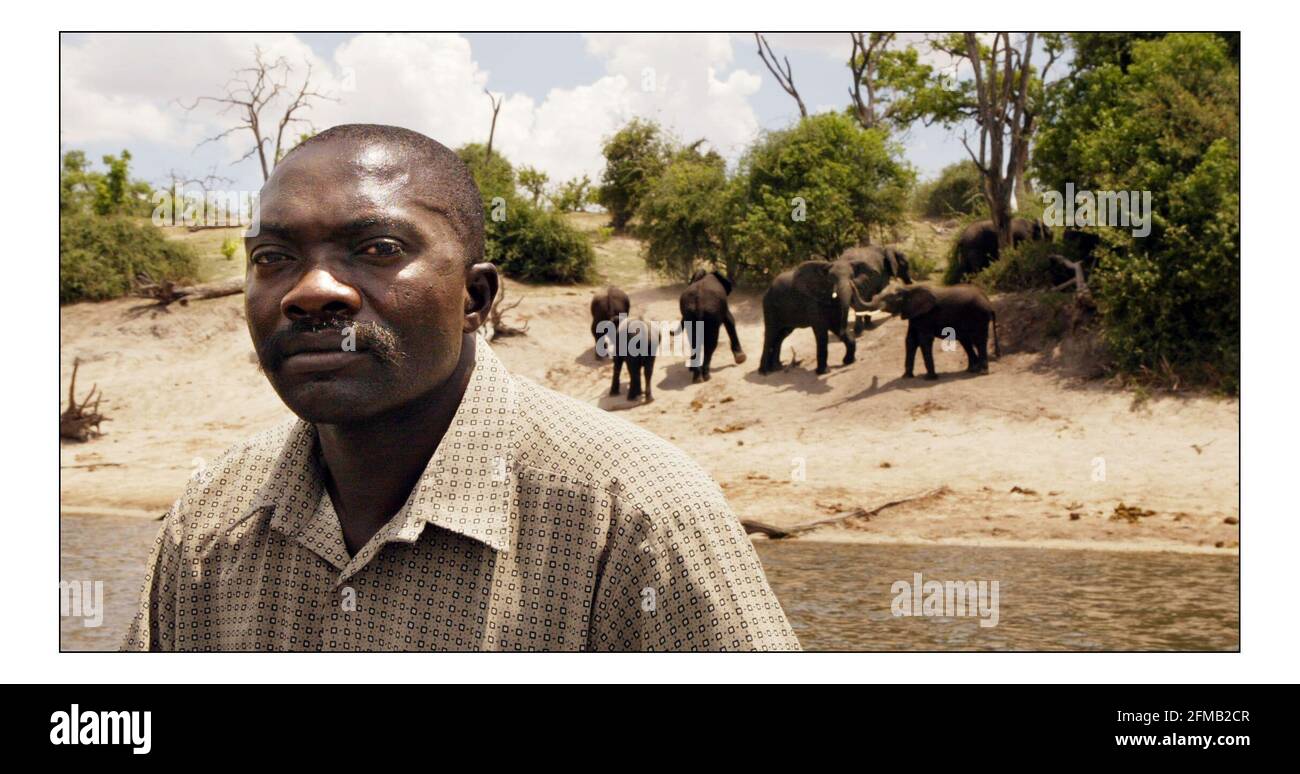 Appello indipendente di Natale...... Sviluppo rurale integrato e conservazione della natura (IRDNC) in Namibia.Bevan Munali, coordinatore di campo dell'IRDNC per la gestione dei Recordes naturali nella striscia di Caprivi, Namibia sul fiume che confina con il Botwana e la Namibia, gli elefanti dei parchi di caccia del Botswana viaggiano attraverso i terreni agricoli locali in Namibia e causano danni alla vita e alle colture, Il personale dell'IRDNC Conservancy lavora con le comunità locali per gestire la fauna selvatica. Fotografia di David Sandison novembre 2004 Foto Stock