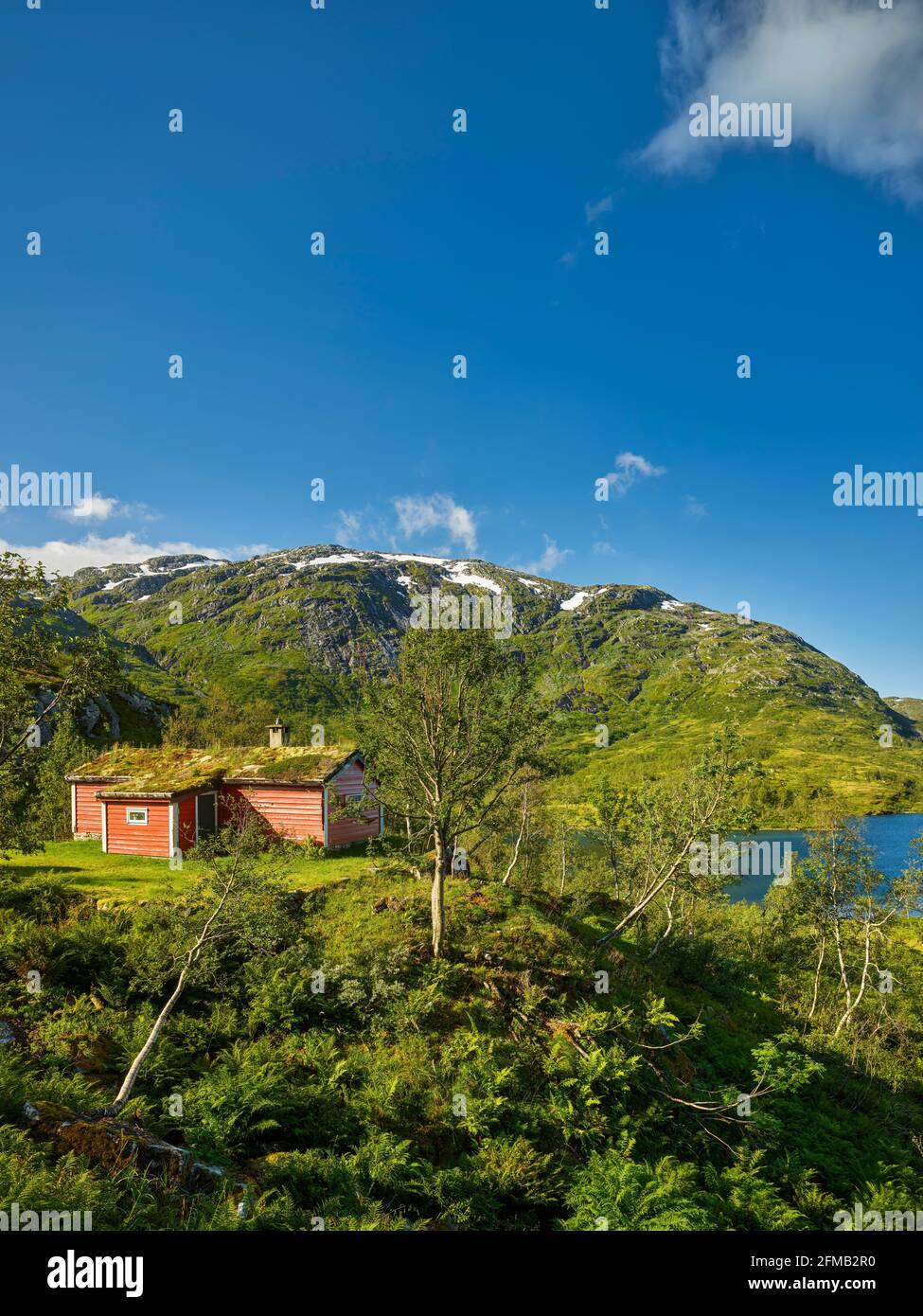 Capanna a Holmevatnet, Storefjellet, Gaularfjellet, Vestland, Norvegia Foto Stock