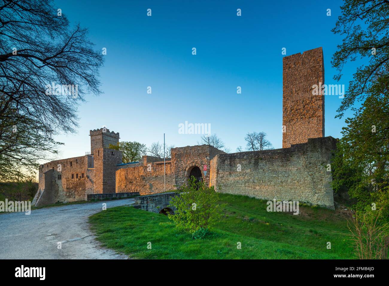 Germania, Sassonia-Anhalt, Eckartsberga, rovine del castello di Eckartsburg nella luce dell'ultima sera Foto Stock