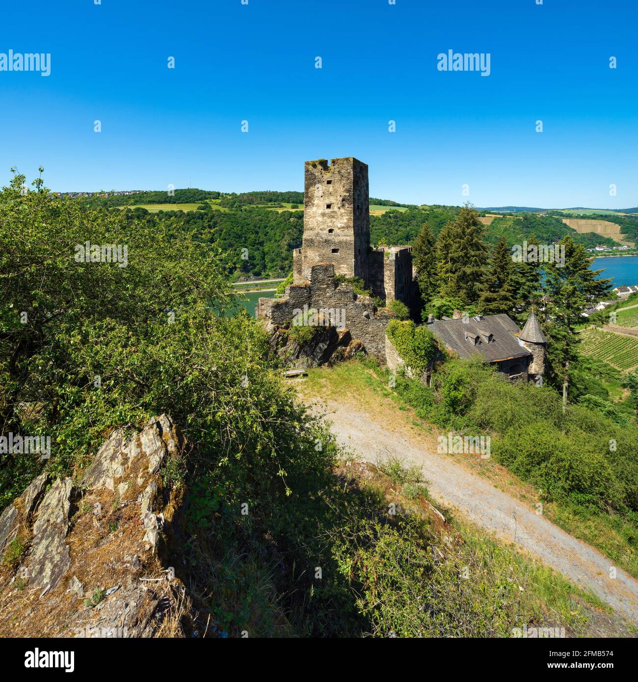 Germania, Renania-Palatinato, Kaub, Alto Reno Valle Patrimonio Mondiale, Gutenfels Castello sul Reno Foto Stock