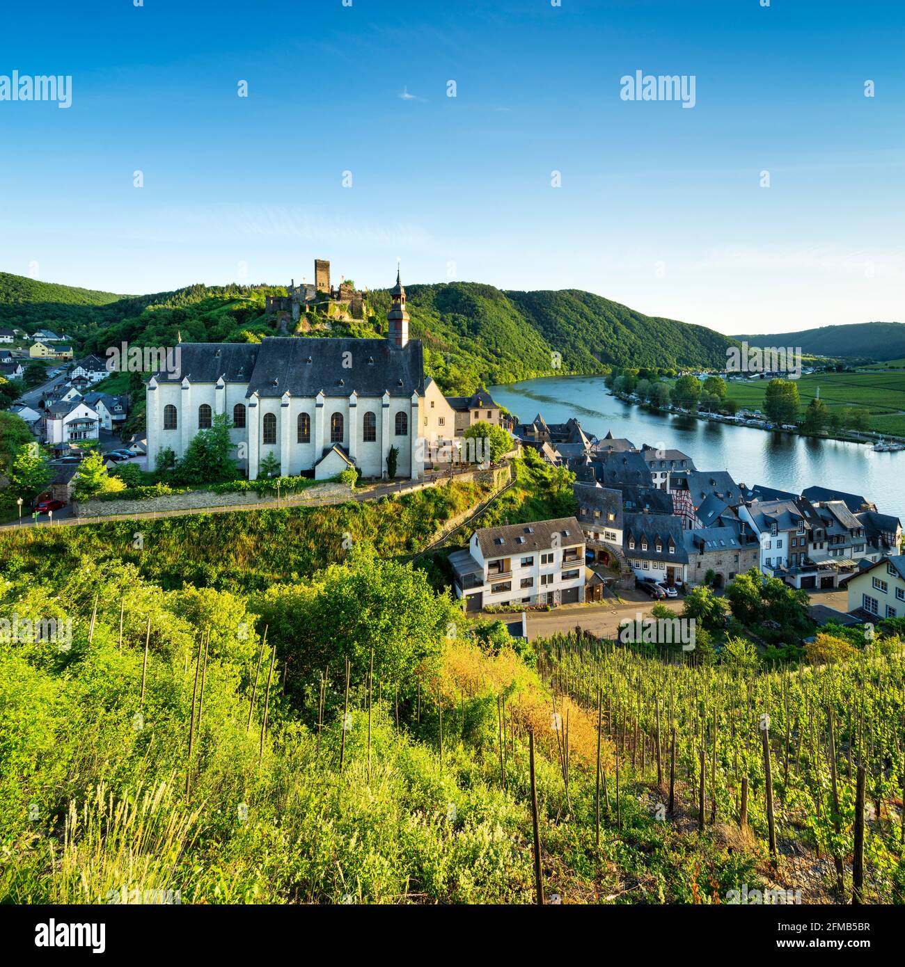 Germania, Renania-Palatinato, Beilstein (Mosel), vista nella valle della Mosella al villaggio del vino di Beilstein con la Chiesa Carmelitana, rovine del castello di Beilstein e vigneti Foto Stock