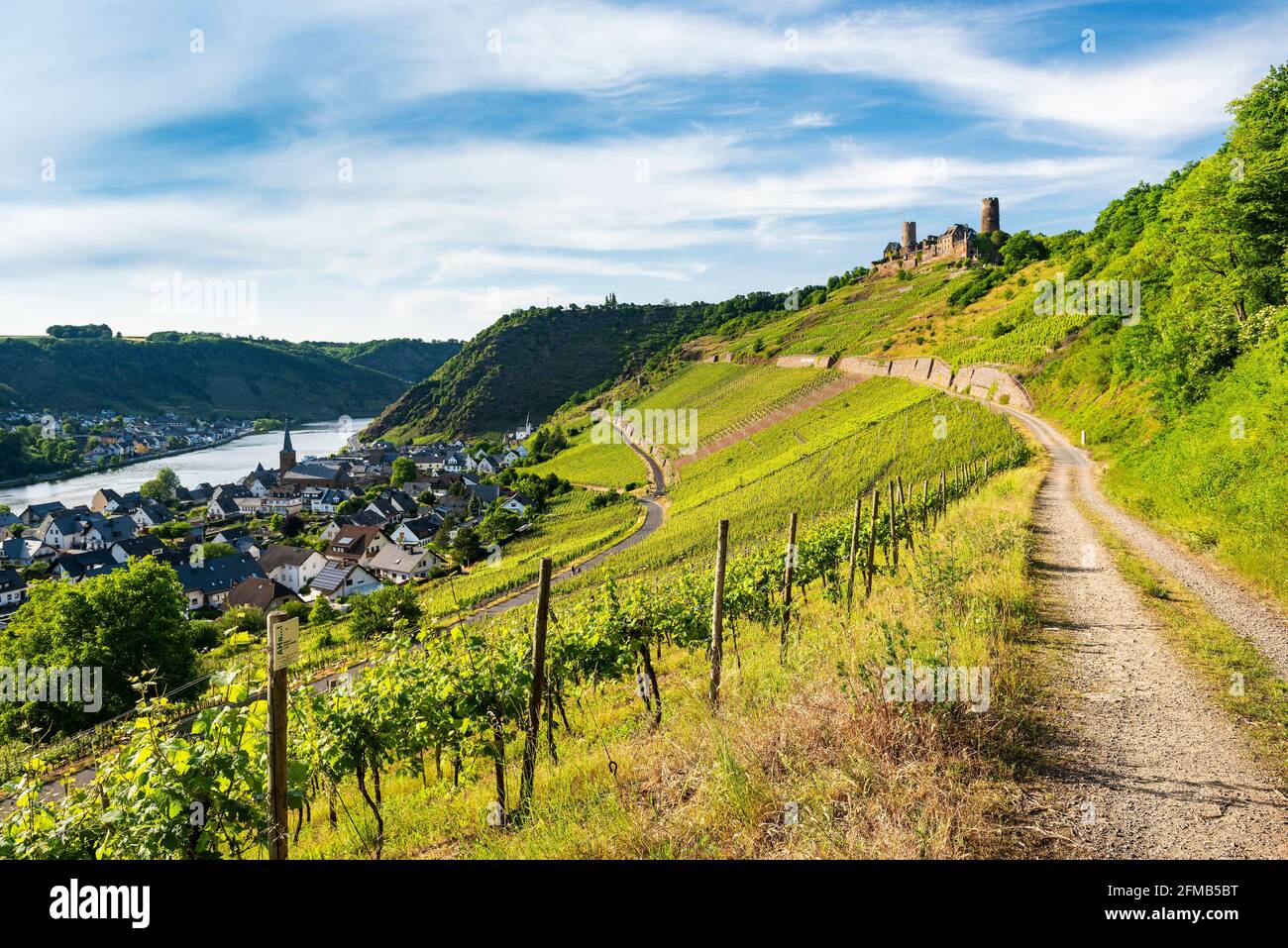 Germania, Renania-Palatinato, Alken (Mosel), vista nella valle della Mosella sul villaggio dei vini di Alken con il castello di Turant e vigneti Foto Stock