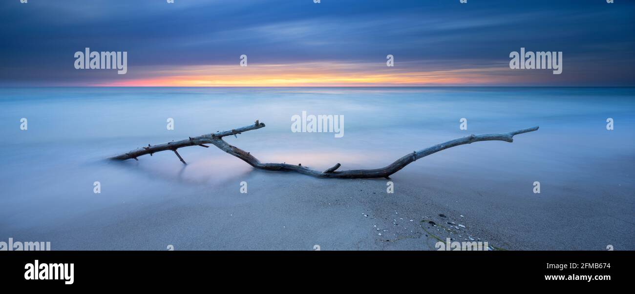 Panorama, afterglow sulla spiaggia del Mar Baltico, ramo nel surf, Fischland-Darß-Zingst penisola, Pomerania occidentale zona Laguna Parco Nazionale, Meclemburgo-Pomerania occidentale, Germania Foto Stock
