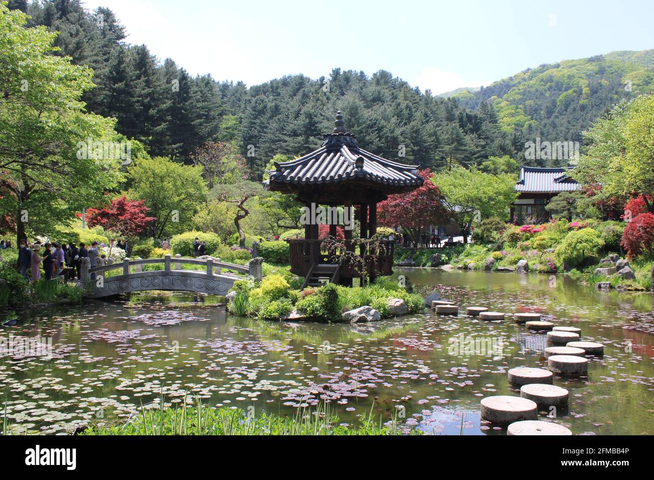 Tradizionale gazebo asiatico che abbaglia il Giardino dello Stagno nel Giardino della calma mattutina, a Gapyeong, Corea Foto Stock
