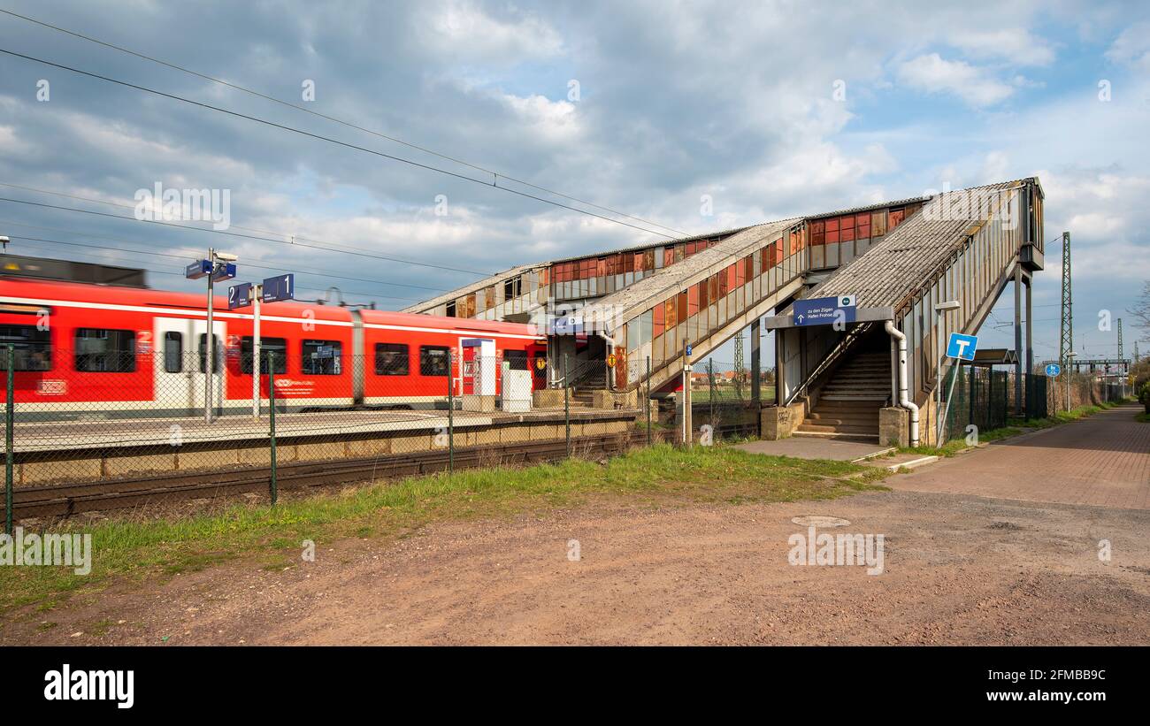 Germania, Sassonia-Anhalt, Schönebeck, un treno passeggeri attraversa una traversata pedonale arrugginita e coperta. Foto Stock