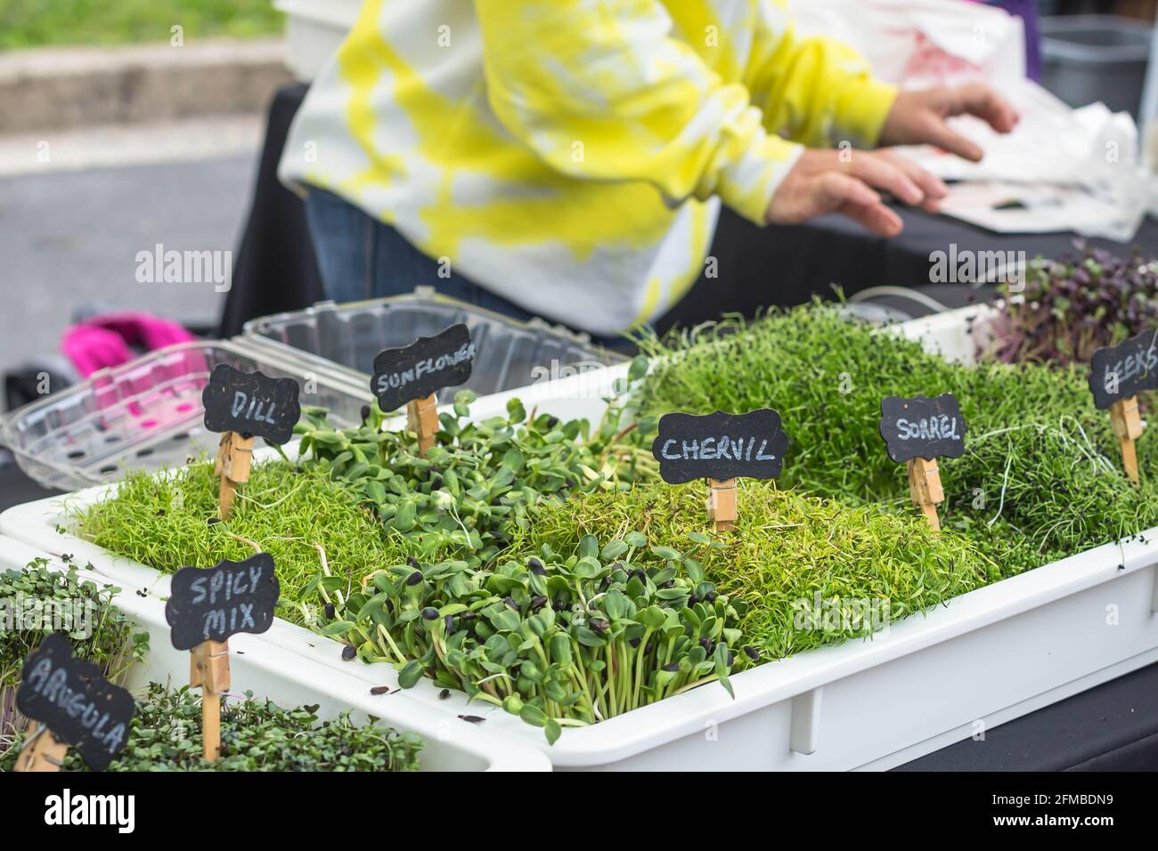 Prodotti freschi in vendita presso un mercato agricolo comunitario Foto Stock