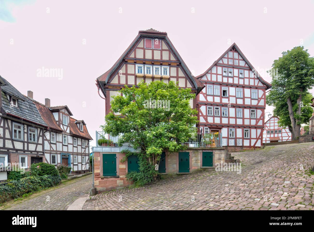 Casa a graticcio, porta anteriore, ingresso, facciata casa, estate, Schlitz, Vogelbergskreis, Hesssen, Germania, Europa Foto Stock