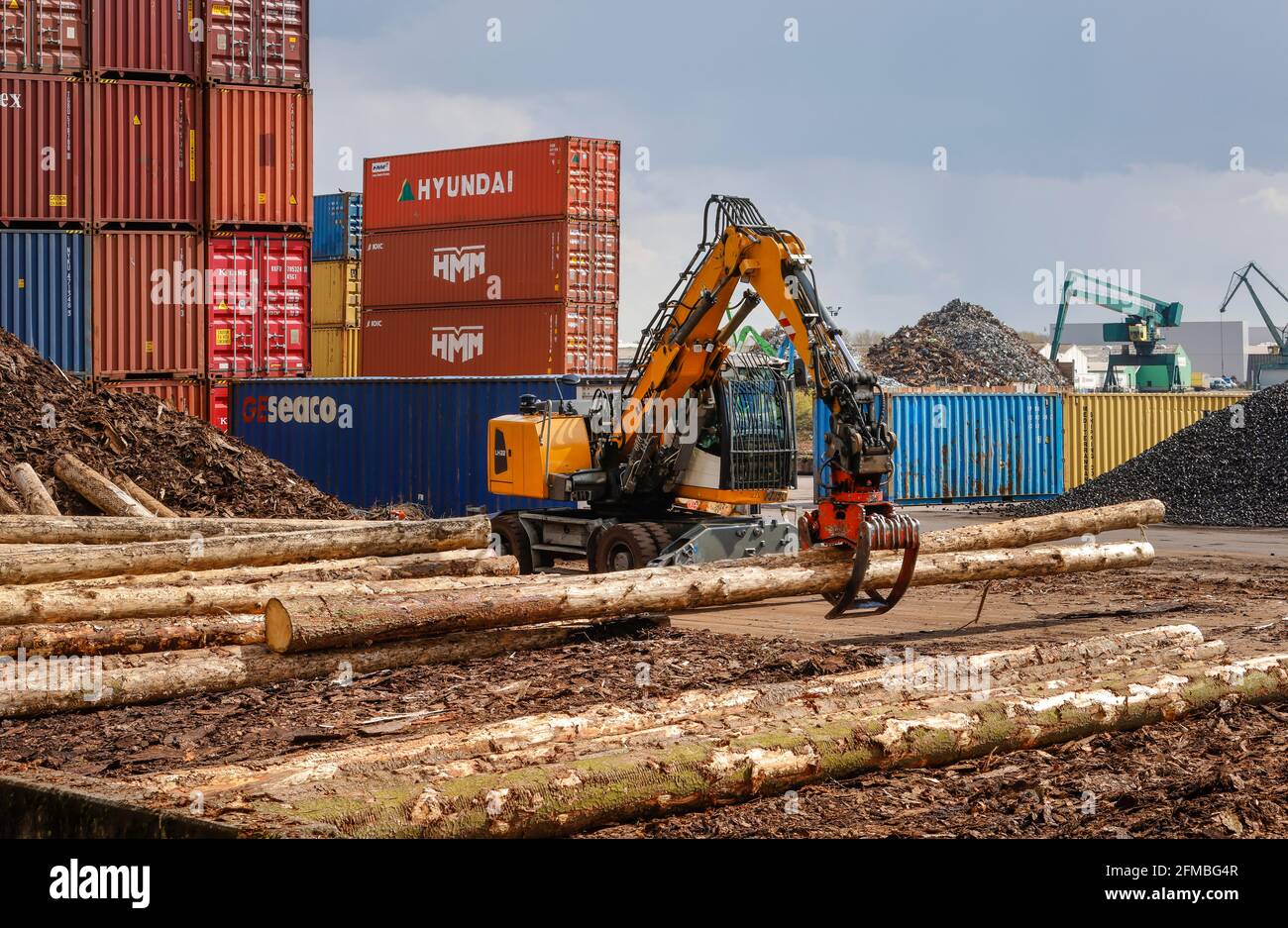 Colonia, Renania settentrionale-Vestfalia, Germania - Porto di Colonia Niehl, i tronchi vengono caricati in contenitori per l'esportazione e immagazzinati presso il terminal dei container. Foto Stock