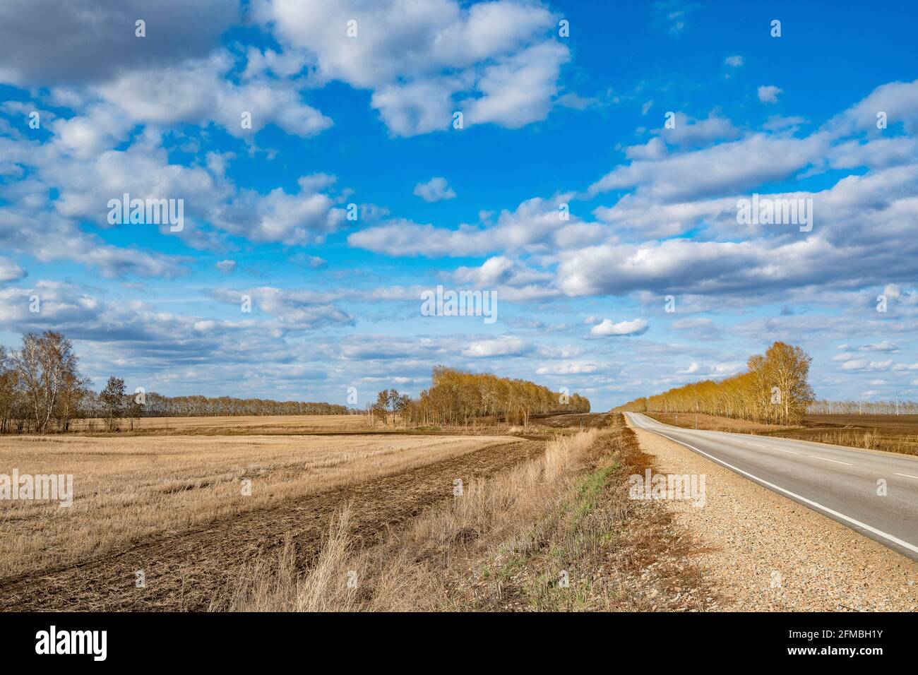 paesaggio con un liscio, che si estende fino alla distanza oltre l'orizzonte, strada asfaltata attraverso campi agricoli arati, vicoli di alberi fiancheggiati Foto Stock