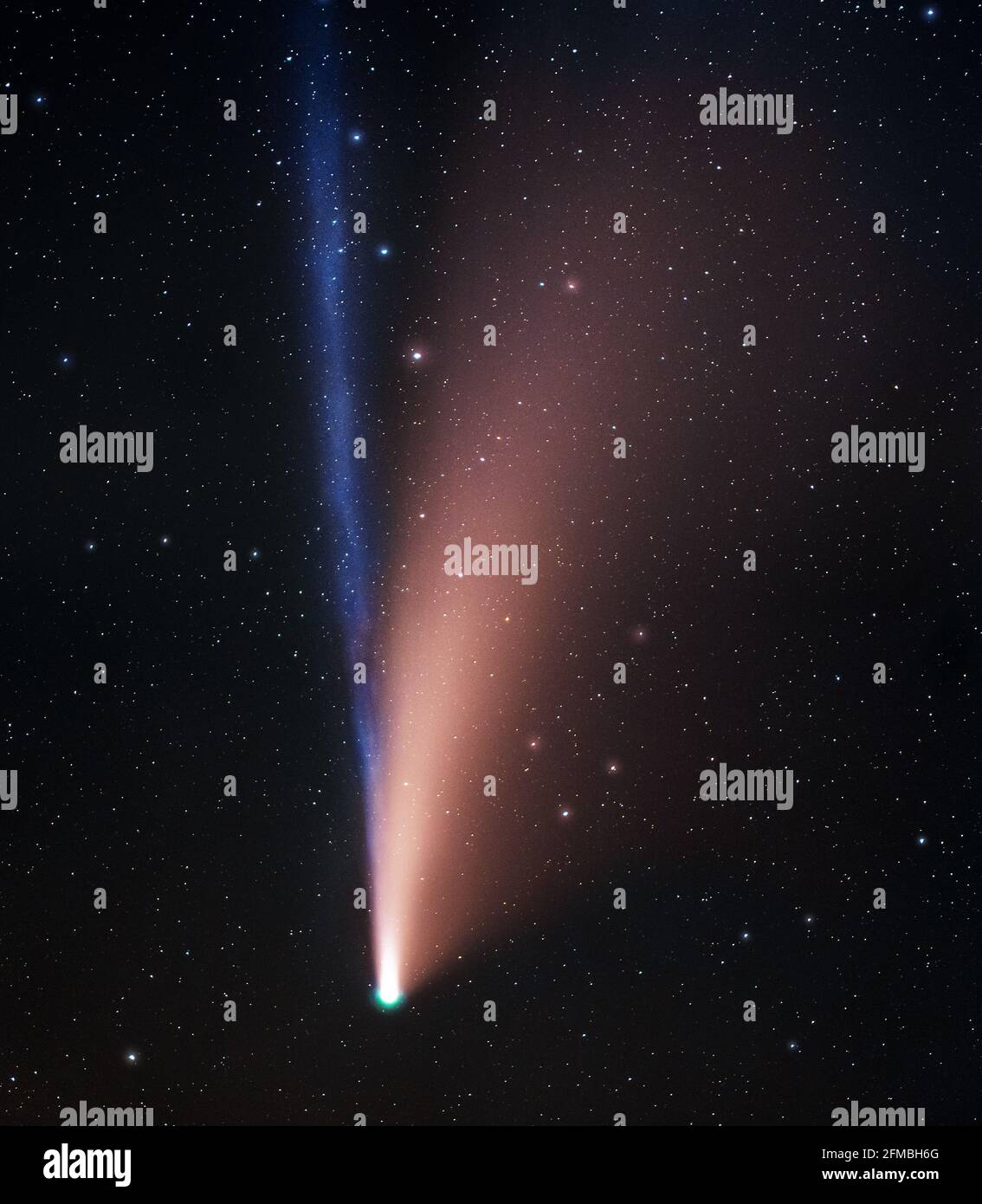 Cometa Neoswise. Foto Stock