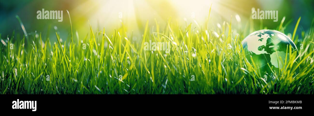 Globo di vetro nel concetto di erba per ambiente e conservazione Foto Stock