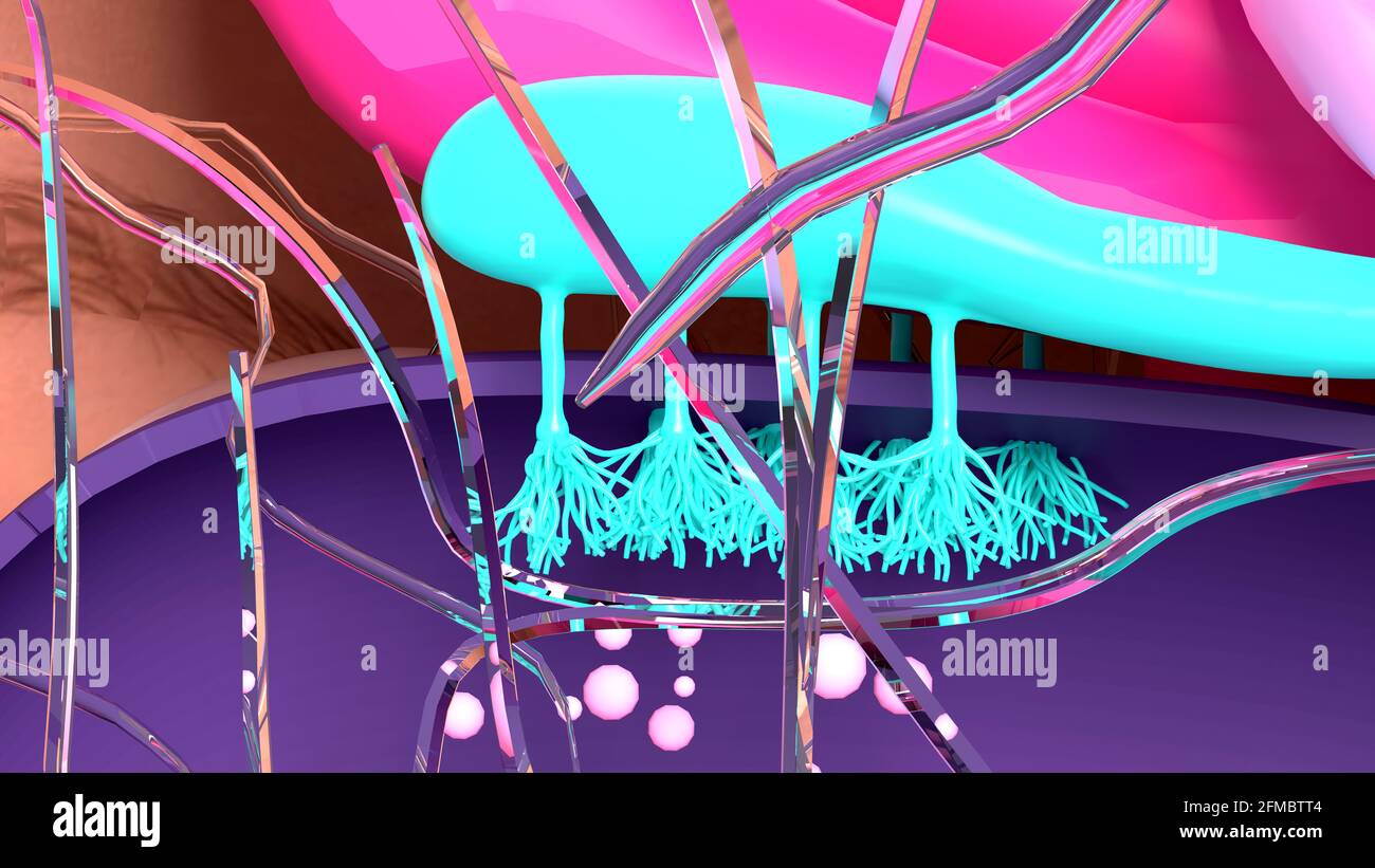 Impianto olfactory, illustrazione Foto Stock