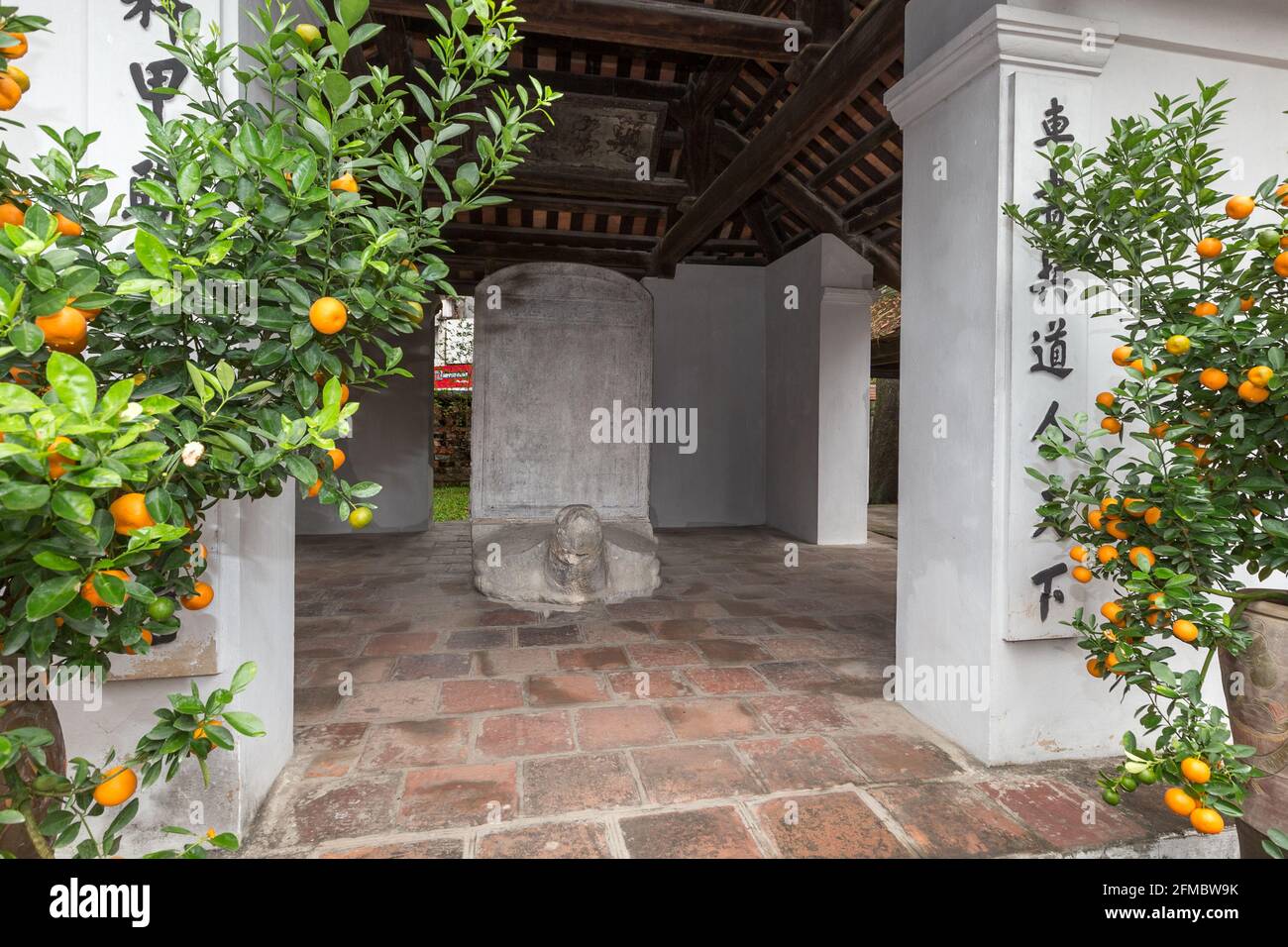Kumquats, Dottor Steles, dei candidati di successo, sul retro ot tartarughe (tartarughe) che rappresentano longevità e saggezza, terzo cortile, Confucian TEM Foto Stock