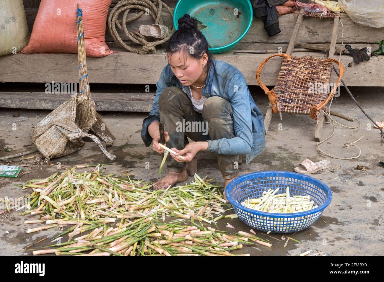 Donna in fattoria, preparando germogli di bambù, provincia di Mu Cang Chai, Vietnam Foto Stock