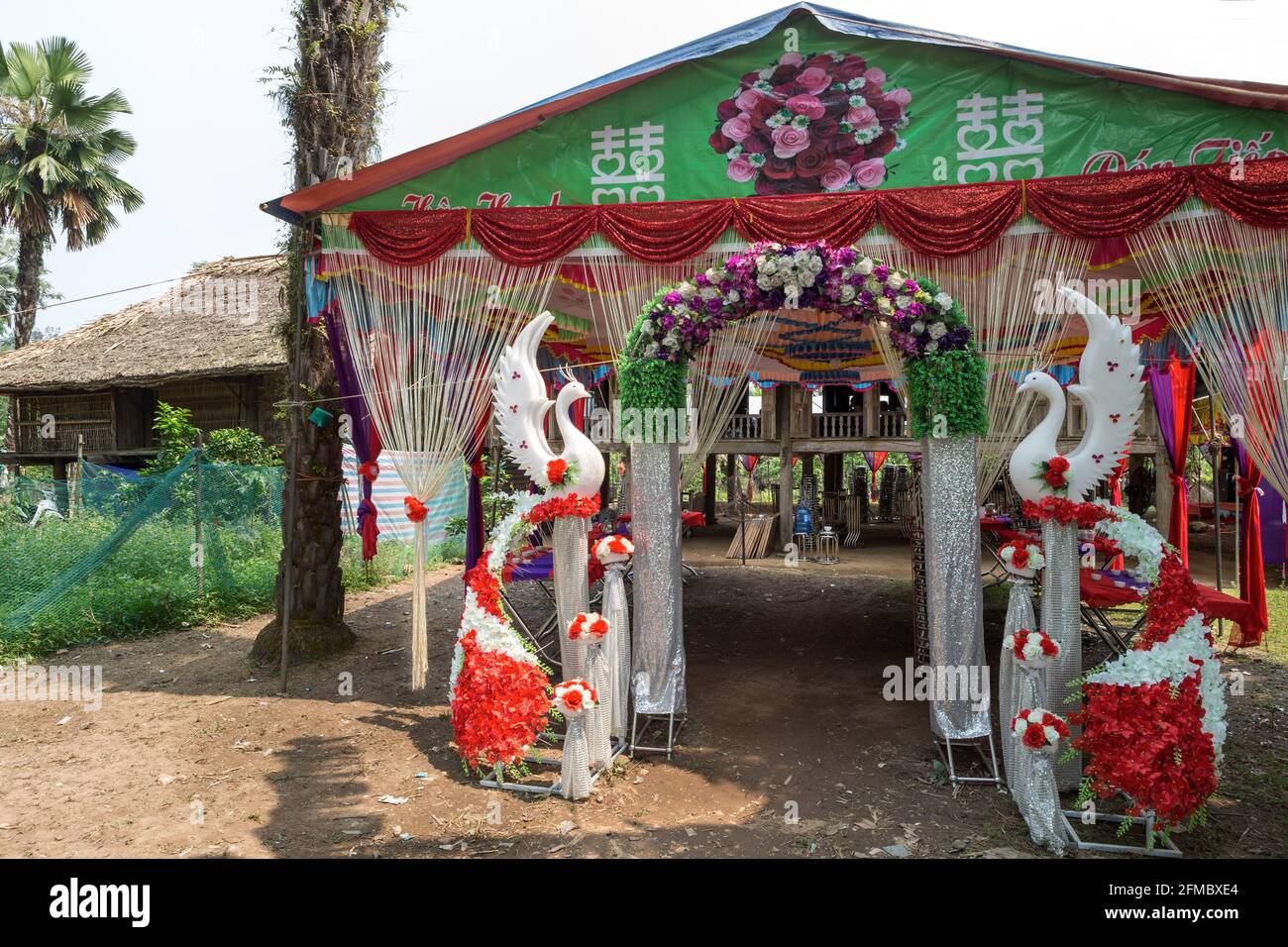 Dopo le celebrazioni di nozze, con Phoenix, uccello mitico, che simboleggia la grazia, nobiltà, Virtù e orgoglio Pa allora villaggio di minoranza, provincia ha Giang Foto Stock