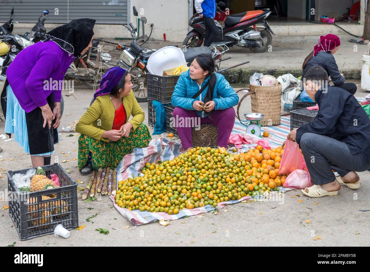 H'mong che vende agrumi, mercato delle minoranze etniche, Meo Vac, provincia di ha Giang, Vietnam del Nord Foto Stock