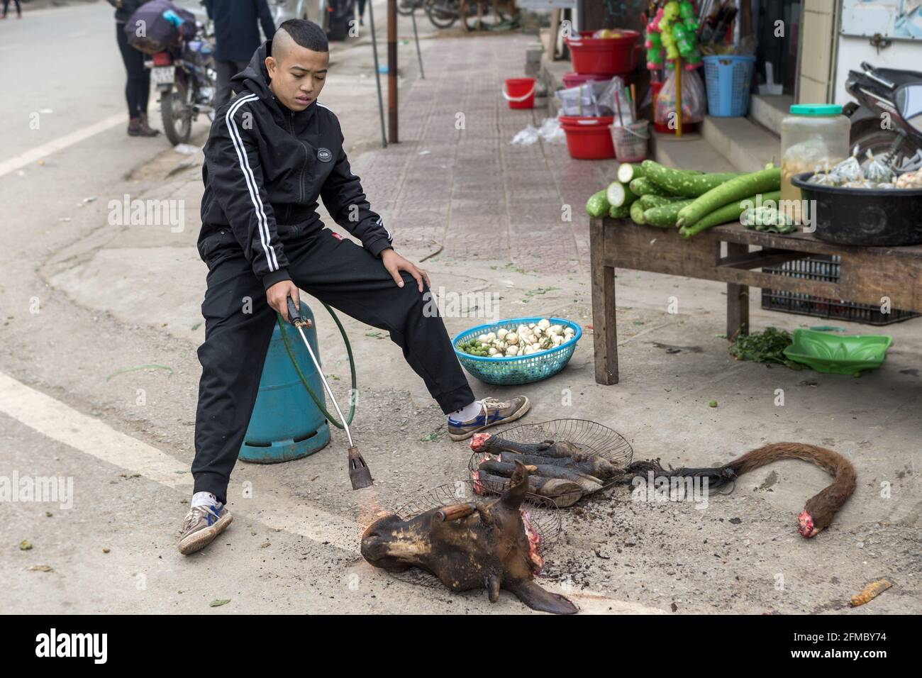 Bruciare i capelli dalla testa della mucca, piedi e coda, mercato delle minoranze etniche, Meo Vac, provincia di ha Giang, Vietnam del nord Foto Stock