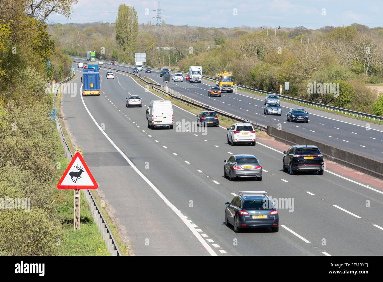 Segnale stradale triangolare di attraversamento di cervi sull'autostrada M3 con auto da traffico, Hampshire, Inghilterra, Regno Unito Foto Stock