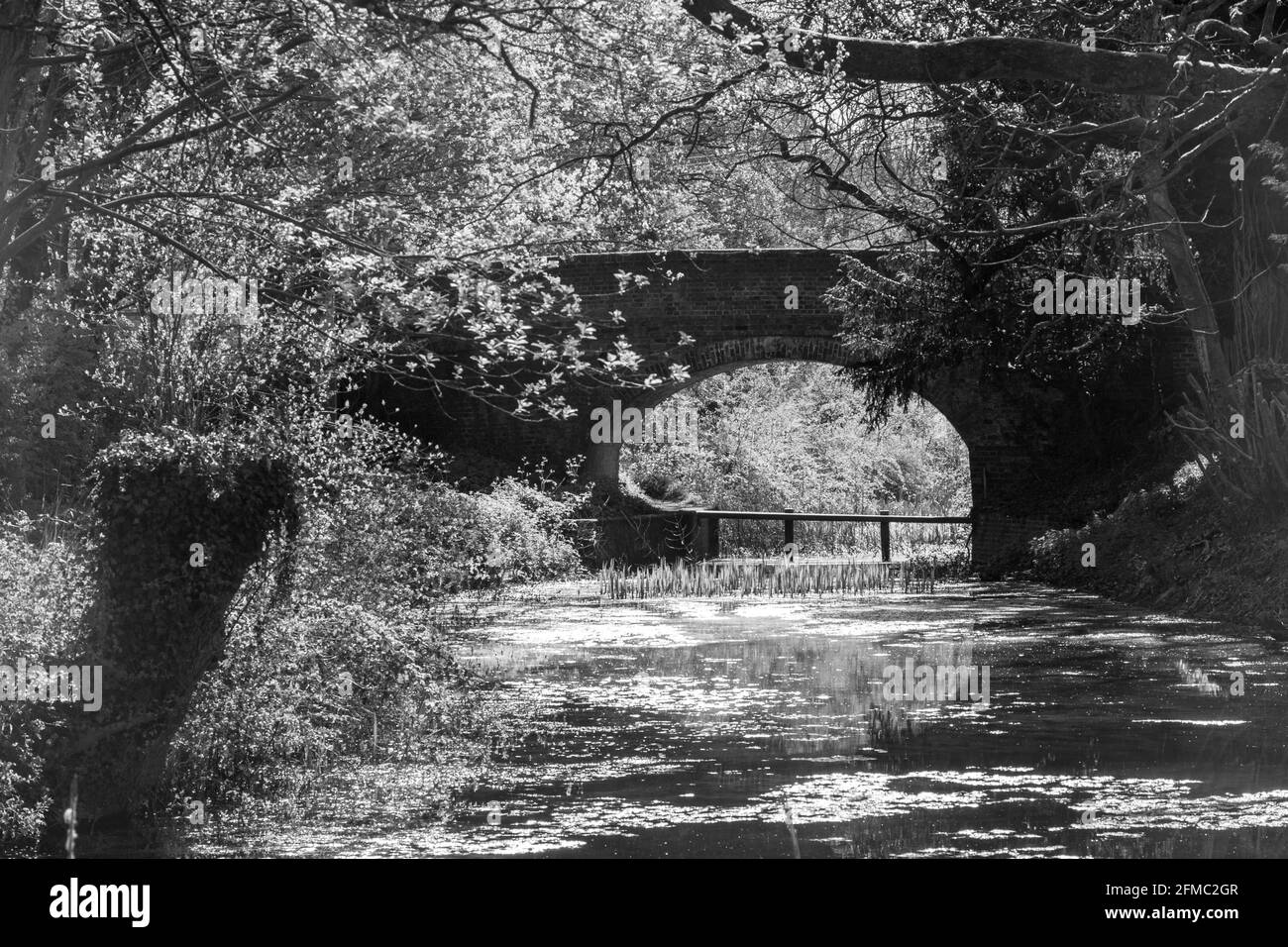 Immagine monocromatica di Eastrop Bridge sul canale di Basingstoke vicino a Up Nately, Hampshire, UK Foto Stock